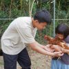 【報導文學、人物專訪】聞雞起「武」的銅鑼少年—第二代返鄉雞農魏浚淞