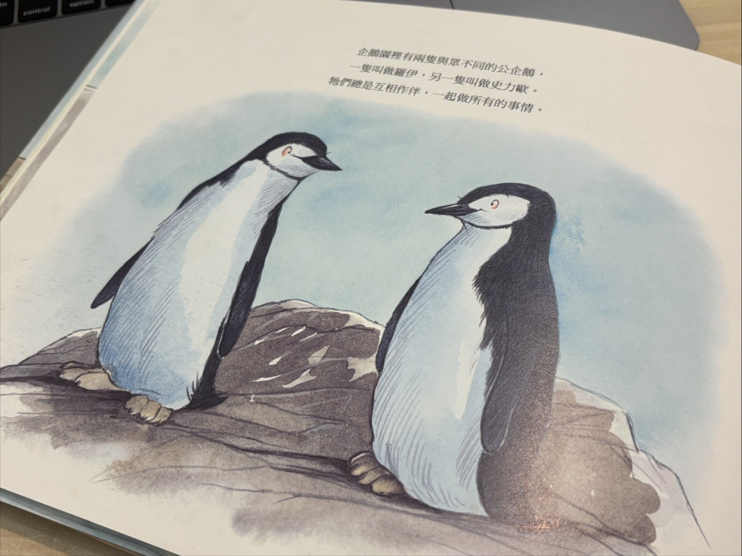 【繪本心得】《一家三口》從一對企鵝爸爸的故事，看見多元成家的樣貌